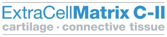ExtraCellMatrix C-II cartilage connective tissue