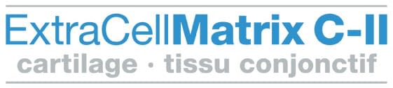 ExtraCellMatrix C-II cartilage tissu conjonctif